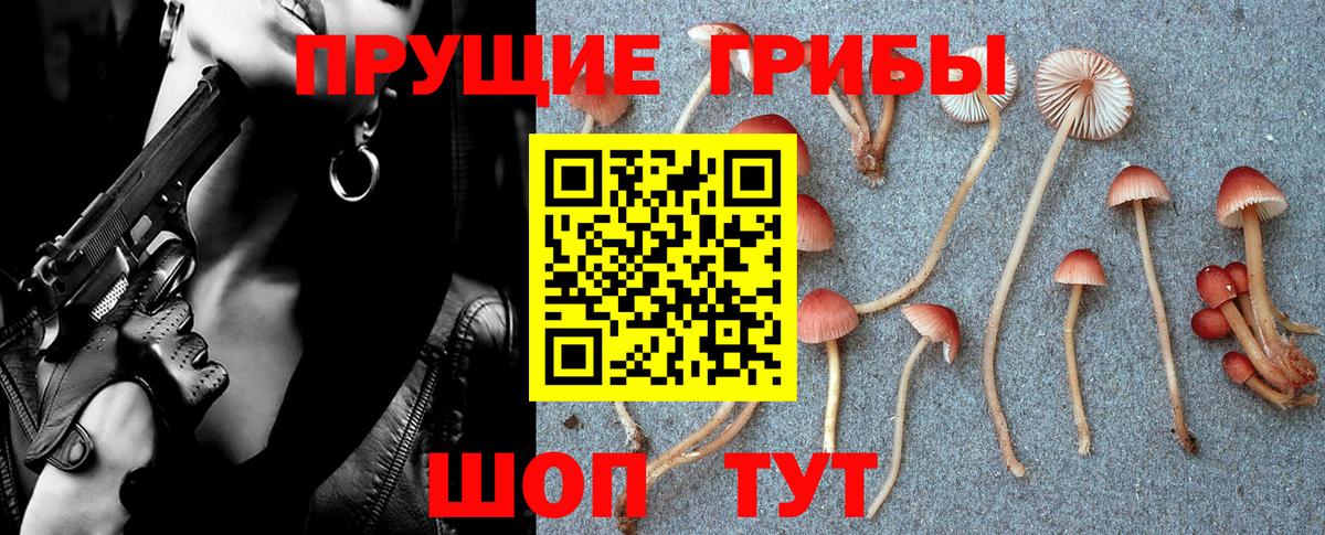 Екатеринбург  Галлюциногенные грибы MAGIC MUSHROOMS  Вход с VPN  наркота  Псилоцибиновые грибы Magic Shrooms 