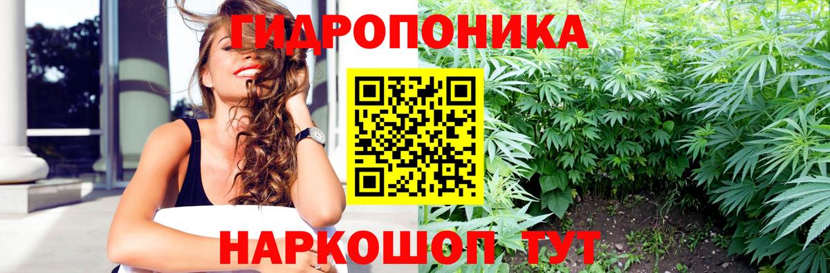 Бошки Шишки MAZAR Екатеринбург